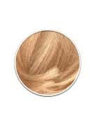 Color Sensation 83 Medium Golden Blonde swatch